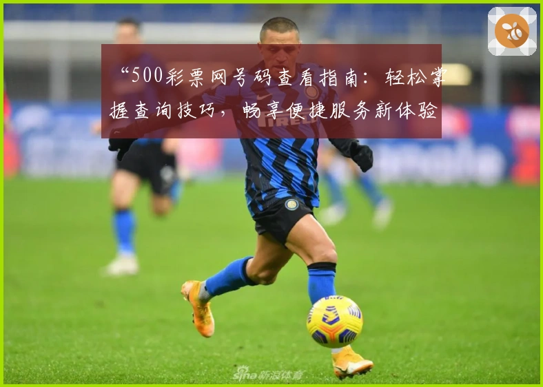 “500彩票网号码查看指南：轻松掌握查询技巧，畅享便捷服务新体验”